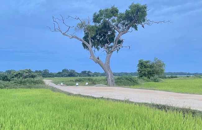 Surf N Sun - Foto 16