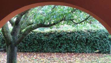 Dreams Valley - Foto 2, Garden, Garden view