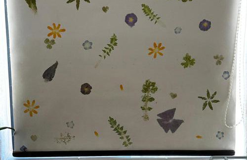 Little Linney - Sleeps 2 - Garden - Wifi - Parking - Photo 57