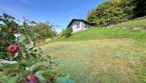 Am Steinberg - Foto 3