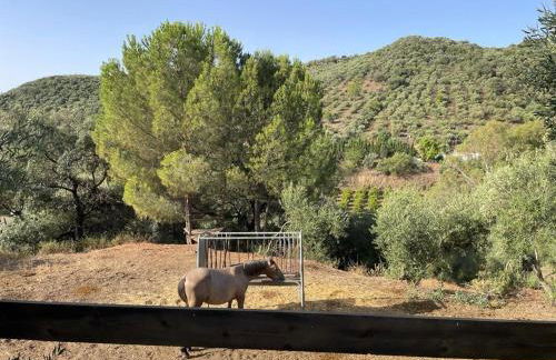Casa Rural Los Menestrales - Foto 46