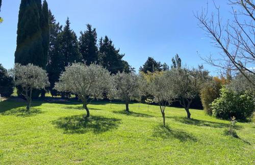 Le Mas Carradou , Mas de Prestige en campagne - Foto 13