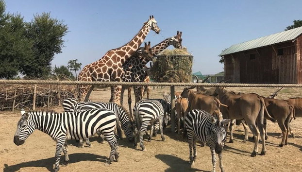 Ravenna: Safari Ravenna Entrance Ticket - Foto 2