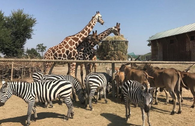 Ravenna: Safari Ravenna Entrance Ticket - Foto 2