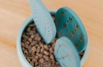 Casa Cauma Apartamento - Foto 18