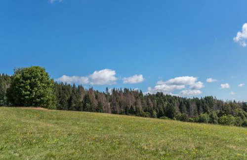 Haus Isele - Foto 16