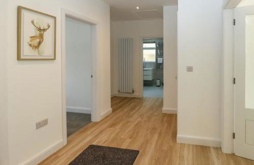 Copper Coin - Foto 25