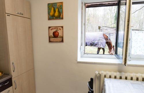 Landhaus Ruheoase - dennoch mittendrin - Natur, Städte & Harz - Foto 31