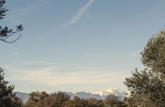 Casa Oliveto - Foto 29