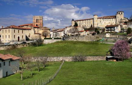Terres de France - Le Domaine du Palais - Foto 12
