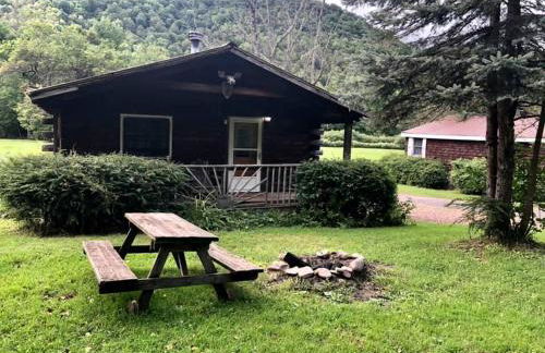 Simple Cabin Camping for Families in the Catskills of Upstate New York - Foto 9