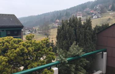 Ferienwohnung im Terrassenpark Sasbachwalden - Foto 22