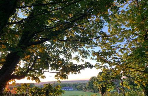 Canllefaes Cottages - Foto 64