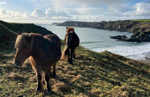 2 Bed in Helston oc-45739 - Foto 25