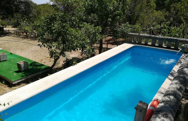 Huerto San Antonio - Foto 65