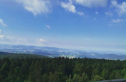 Bayerwaldtiny - Foto 16