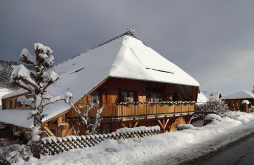 Schwarzwaldhaus Simmelehof - Foto 16