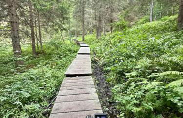 Dimaro-Folgarida Apartment - Foto 18