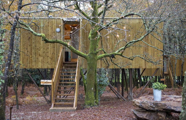 Enoturismo María Manuela - Photo 51