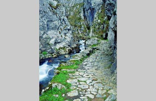 Los Molinos - Atico en Montaña de Asturias - Foto 54