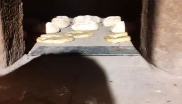 Aromas dos Salgueiros - Foto 5, pet friendly