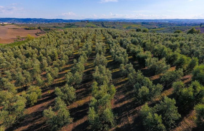 Farmhouse in Vinci's Time Capsule - Foto 30