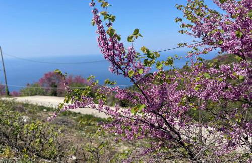 Loris’House - Photo 45