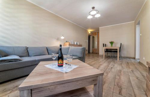 Apartamenty ALICJA - Foto 24