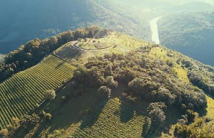 Cabana nas Nuvens - Foto 74