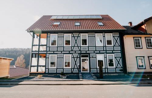 WohnWerk Ferienwohnungen Lautenthal - Foto 59