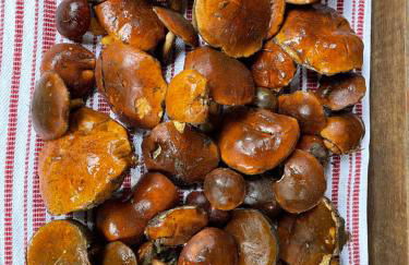 Ferienhaus unter Reet im Heidedorf Sankt Dionys bei Lüneburg - Foto 13