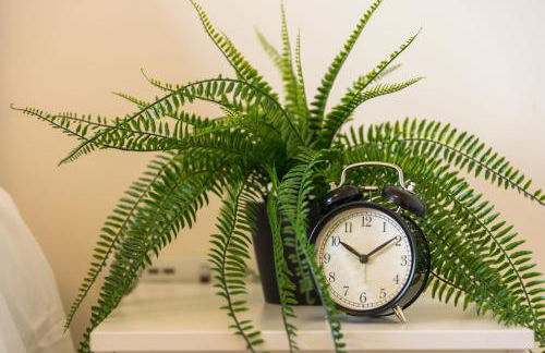 Ottery House - Foto 24