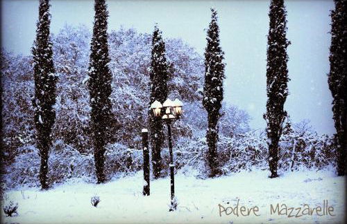 Podere Mazzarelle - Foto 29