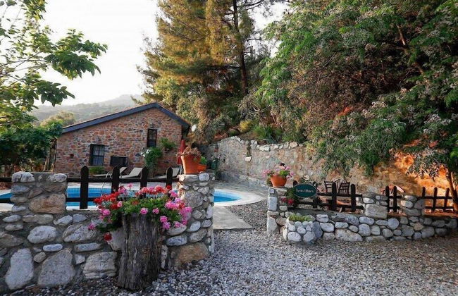 Terra Ultima - Photo 11