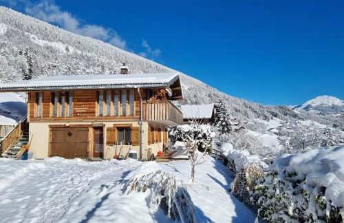 Very comfortable, fully equiped two bed appartement in private chalet entire floor Near La Clusaz, Grand Bornand, Annecy and lake and private terrace Bbq - Foto 17