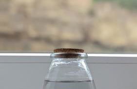 Idyllisches 2-Zimmer-Apartment - Foto 9