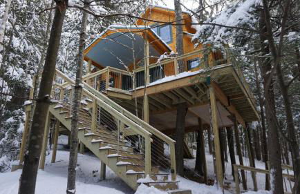 Stellahouse - Awesome Maine Treehouse - Foto 24