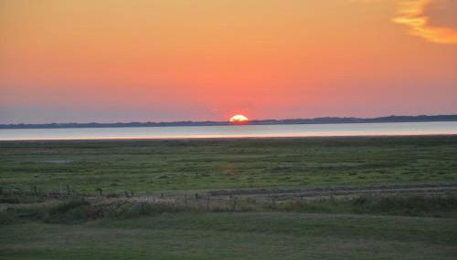 Seemöwe am Naturstrand - Foto 2