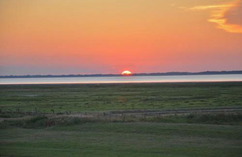 Seestern am Naturstrand - Foto 8