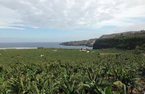 Casa Mannheim - Foto 38