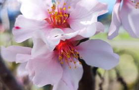 Kleine Pfalz im Casa del Cornelia - Foto 15