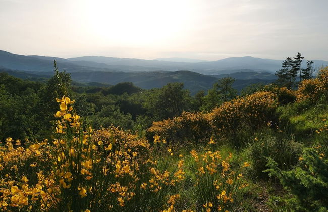 Villa Panorama - Photo 56