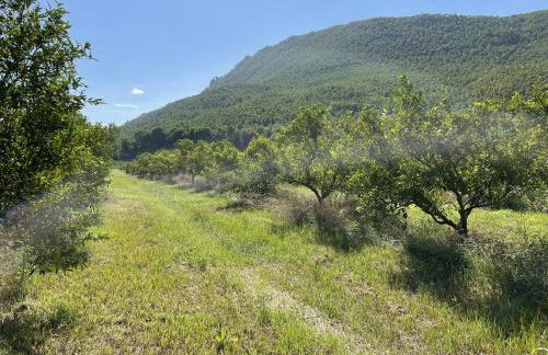 Casa Ramoncico. Finca el Campillo - Foto 43