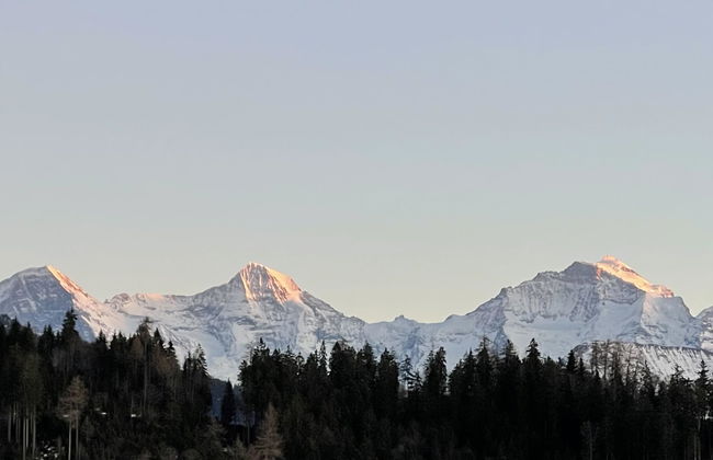 Panoramaferienwohnung Waldkircher - Foto 27