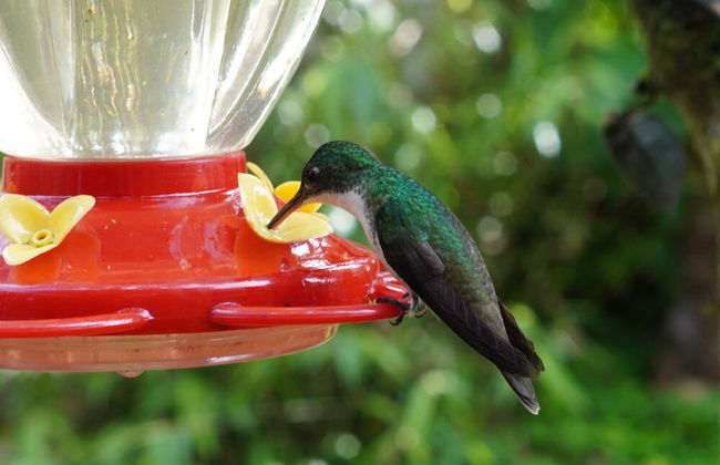 HOSTERIA KUMBHA MELA - Foto 40