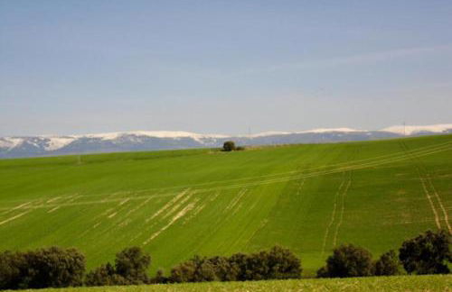 El Carro del Abuelo - Foto 21