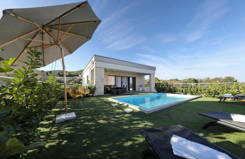 Orchid Stay - Photo 1