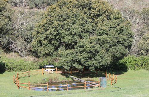 Quinta Da Devesa B1 - Foto 31