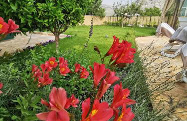Villa MATER - luxuriously equipped villa with a 15m long swimming pool - Photo 53