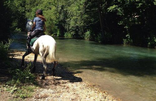 Casa Hydrangea con piscina e giardino - Foto 72